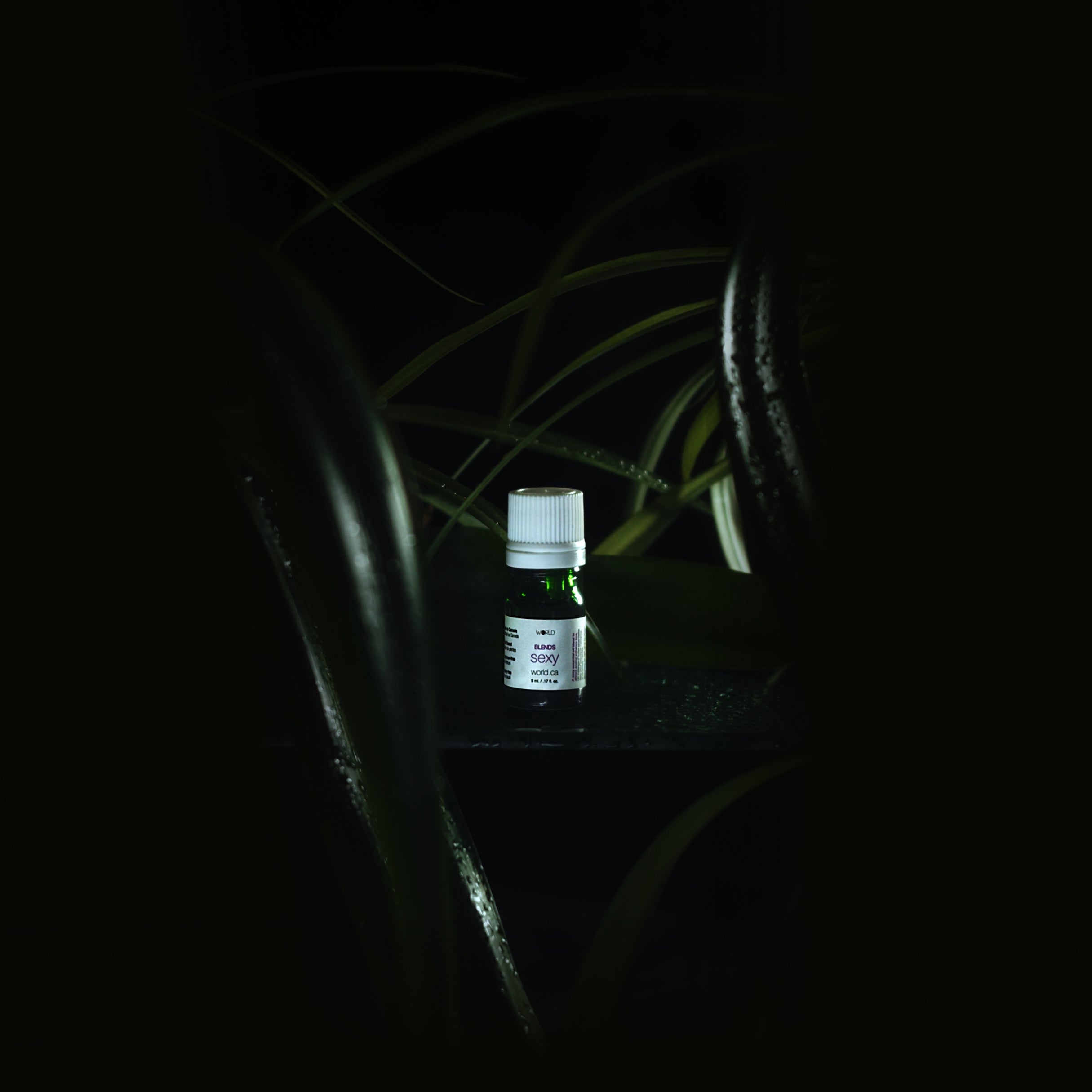 WORLD Hair and Skin product Sexy. Essential Oil Blend.