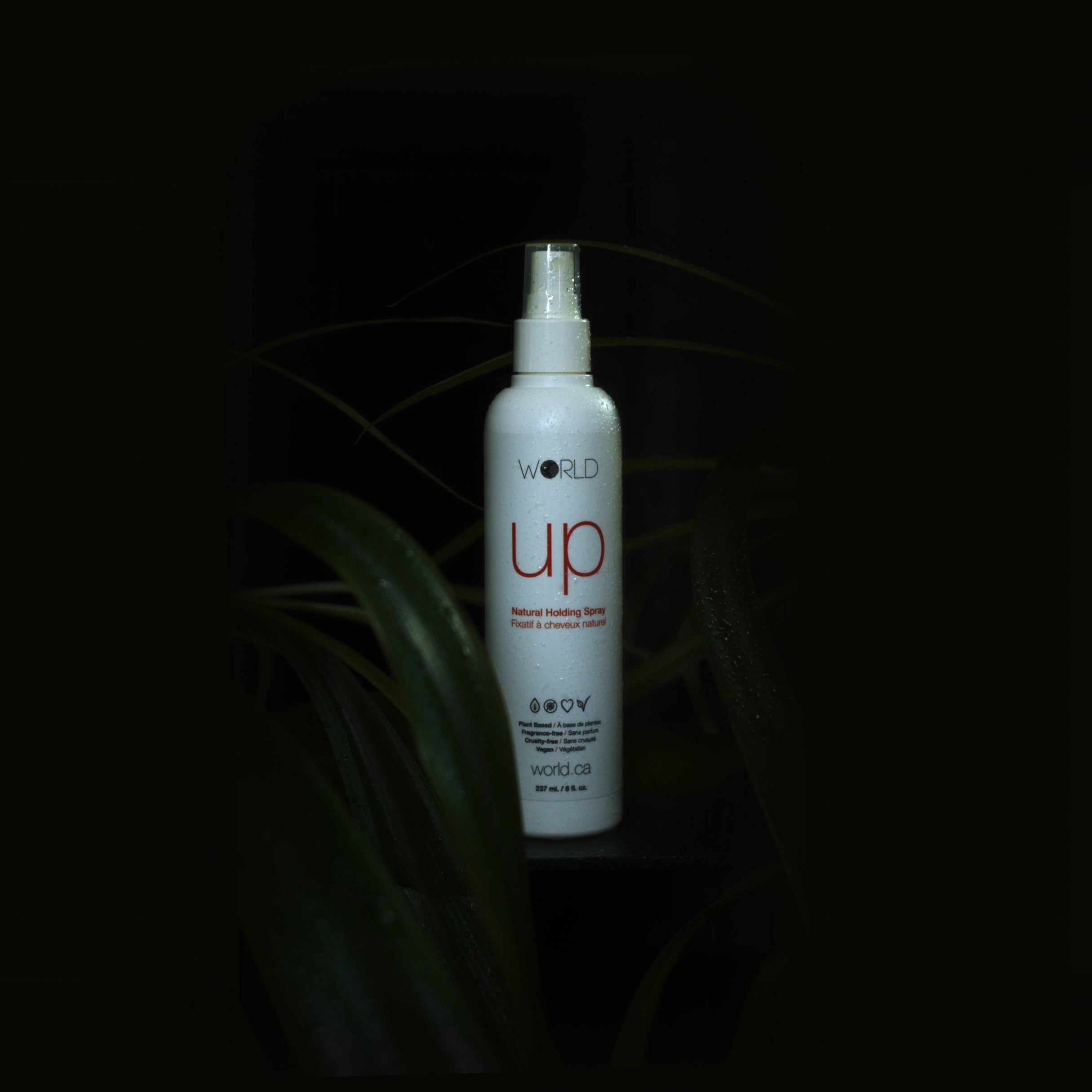 WORLD Hair and Skin. Up Natural Holding Spray.