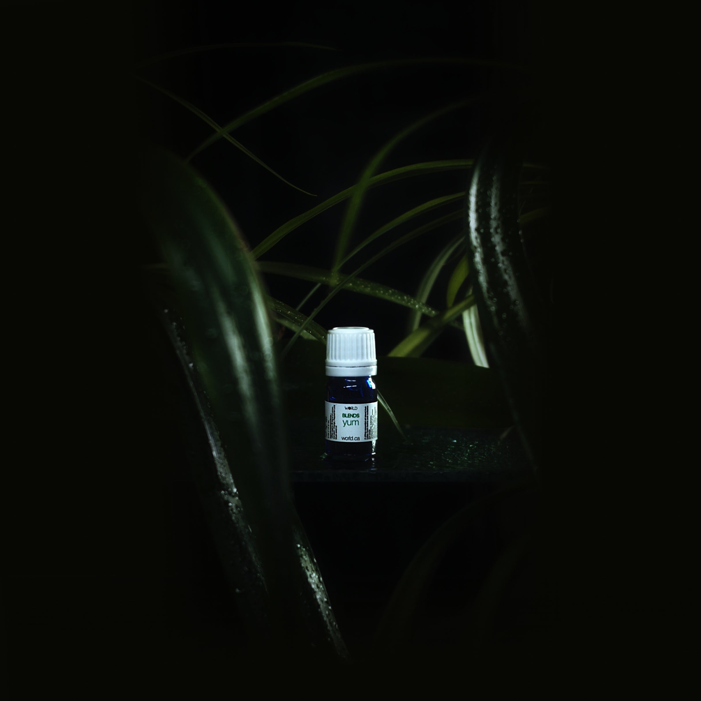 WORLD Hair and Skin product Yum. Essential Oil Blend.