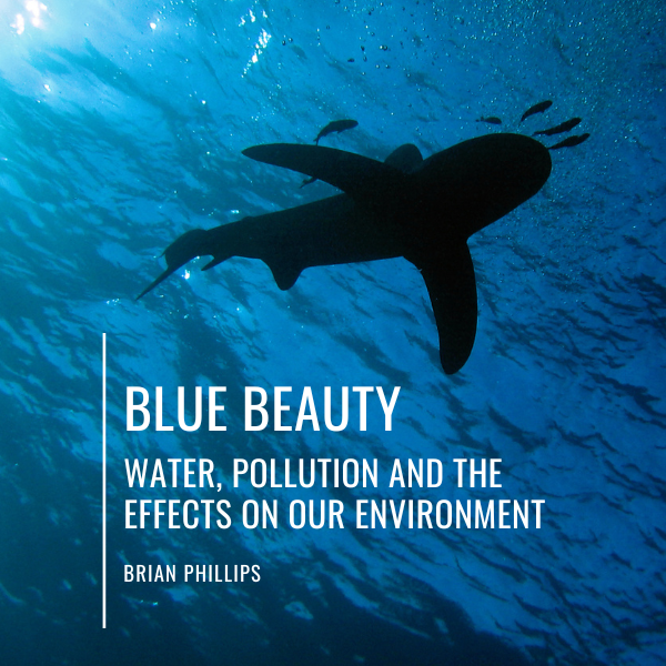 Blue Beauty, Water Pollution and The Effects On Our Environment